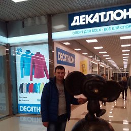 , 37, 